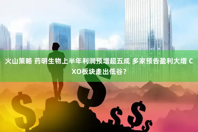 火山策略 药明生物上半年利润预增超五成 多家预告盈利大增 CXO板块走出低谷？