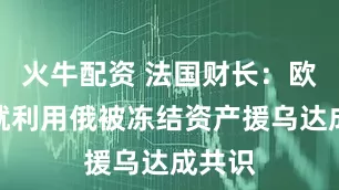 火牛配资 法国财长：欧盟已就利用俄被冻结资产援乌达成共识