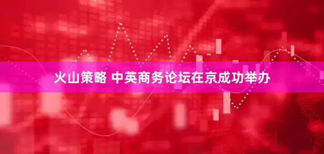 火山策略 中英商务论坛在京成功举办