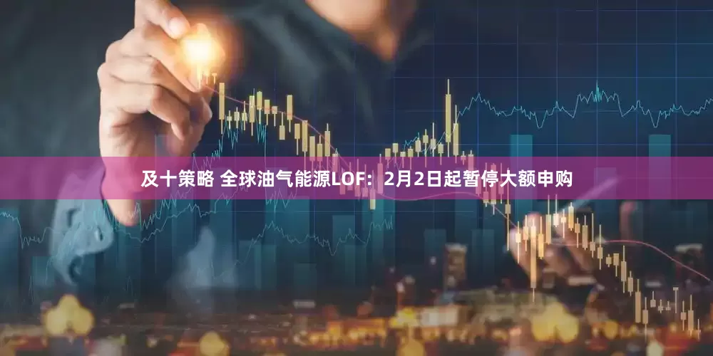 及十策略 全球油气能源LOF：2月2日起暂停大额申购